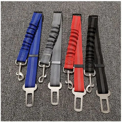 Ceinture de sécurité réglable améliorée pour chien.