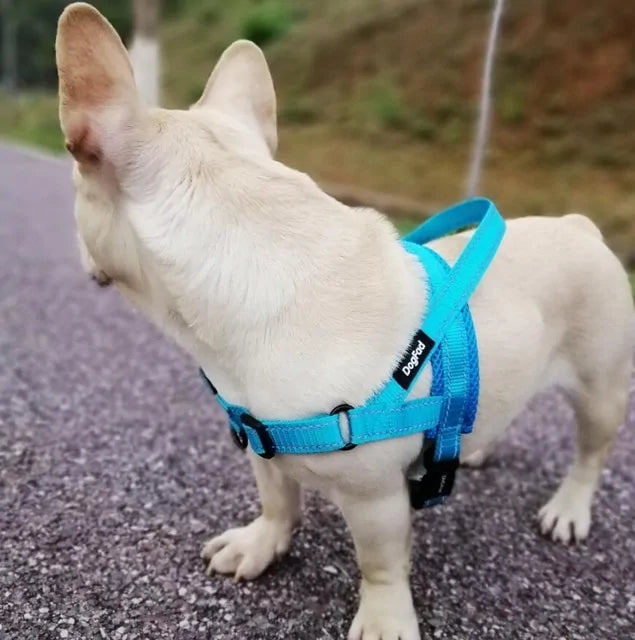 Harnais réglable pour chien