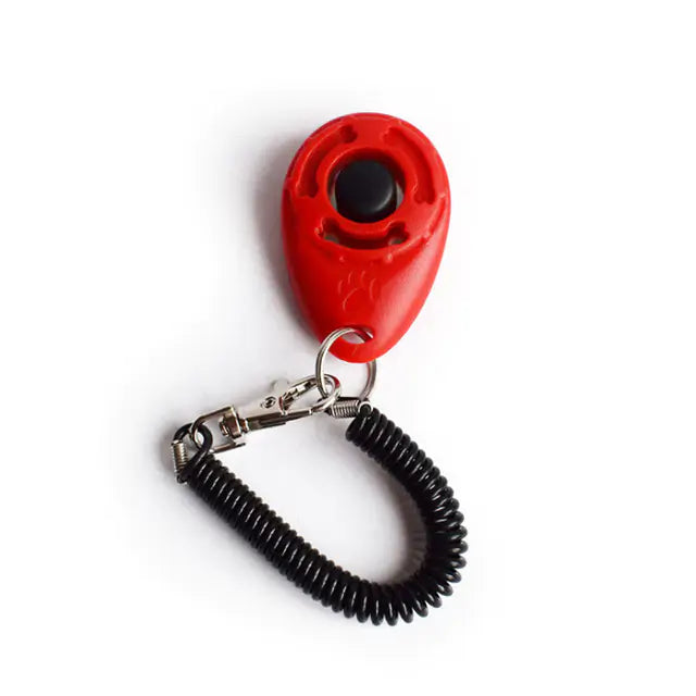 Clicker de dressage de chien