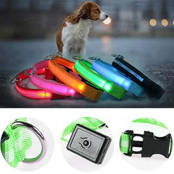 Collier de chien LED