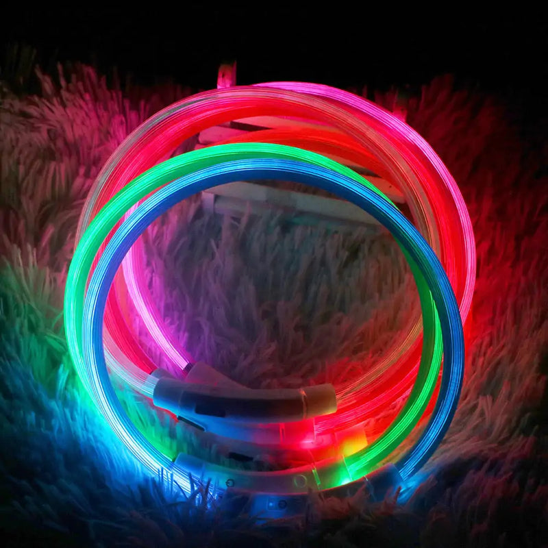 Collares para perros impermeables LED