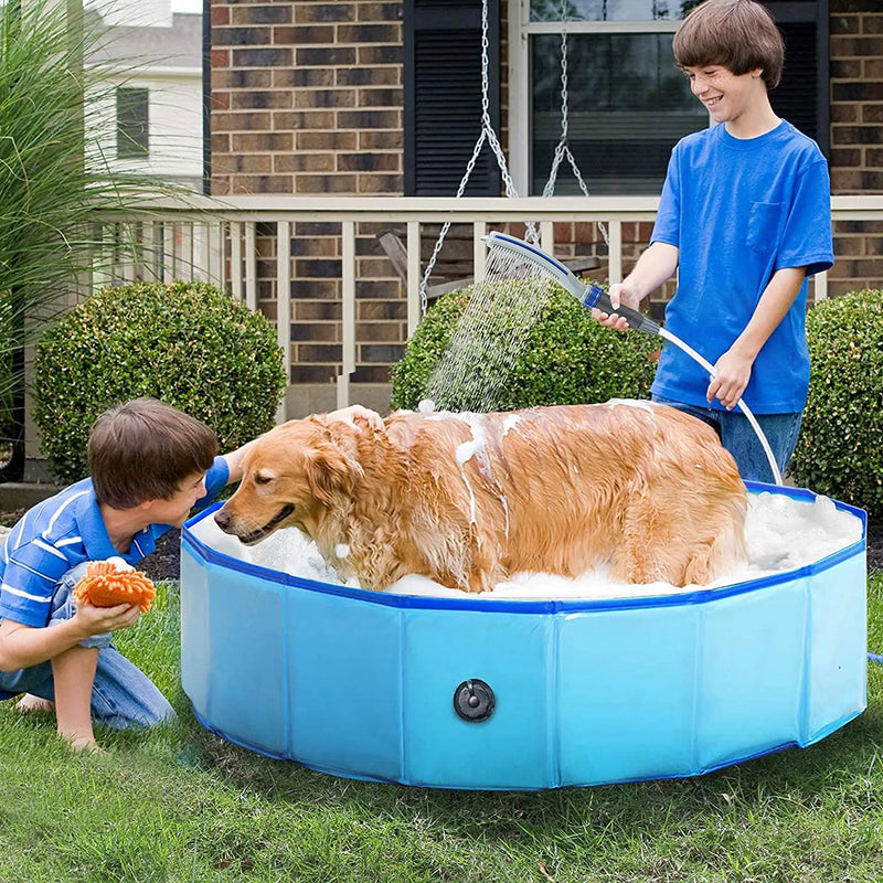 Accessoire pulvérisateur de douche pour chien