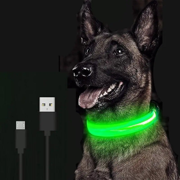 Collar de perro LED