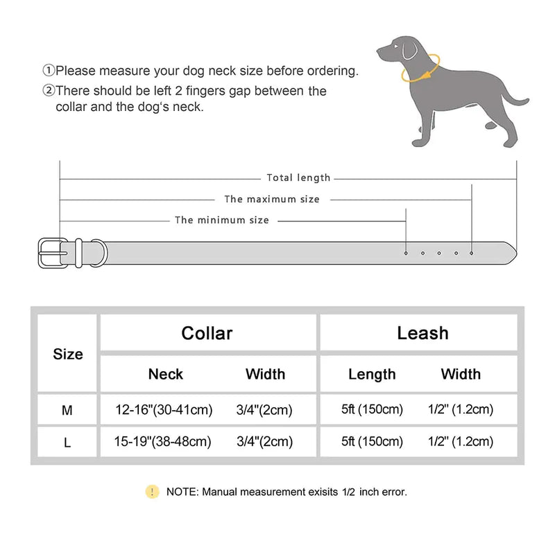 Juego de collar y correa para perros - Cuero genuino