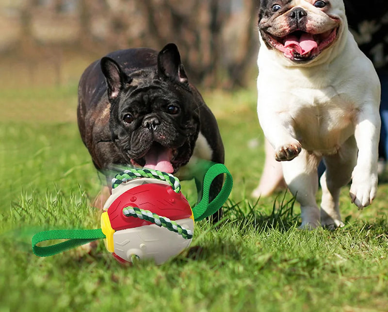 Juguete interactivo para perros