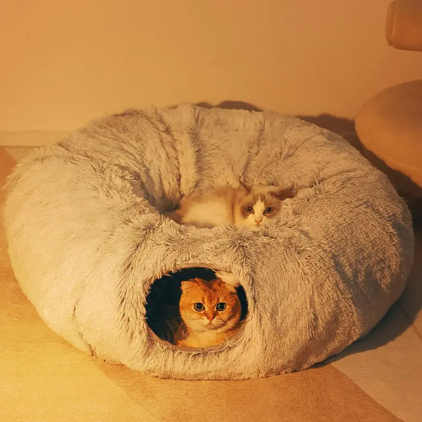 Cama y casa para gatos