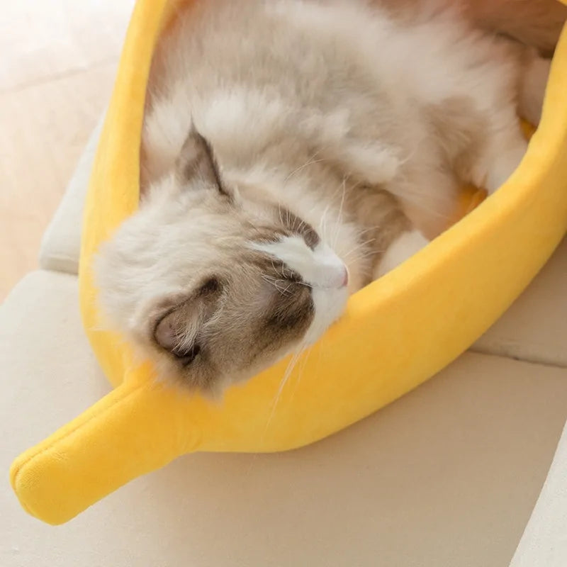 Lit pour chat banane