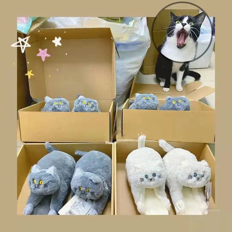 Pantuflas de gato con abrazo de peluche