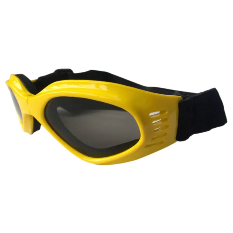 Lunettes de soleil pour chien