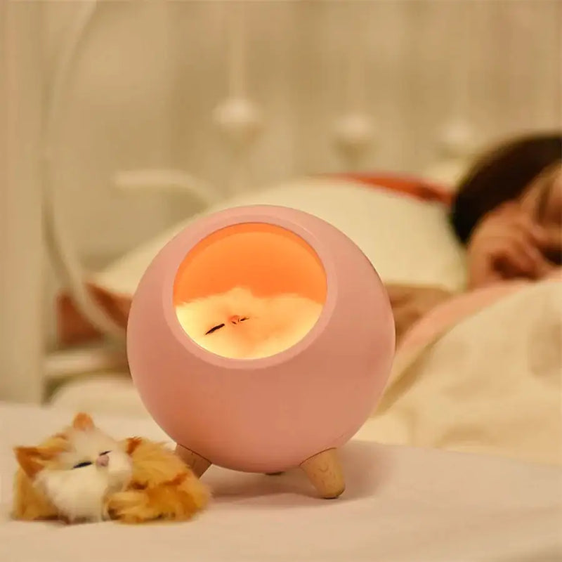 Lumière LED pour chat