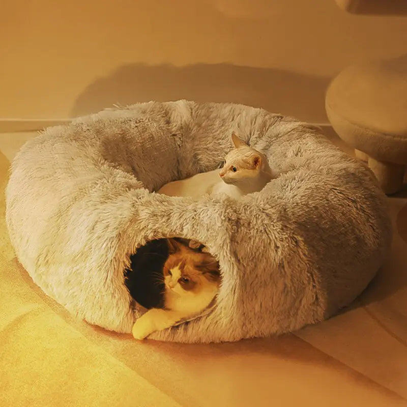 Cama y casa para gatos