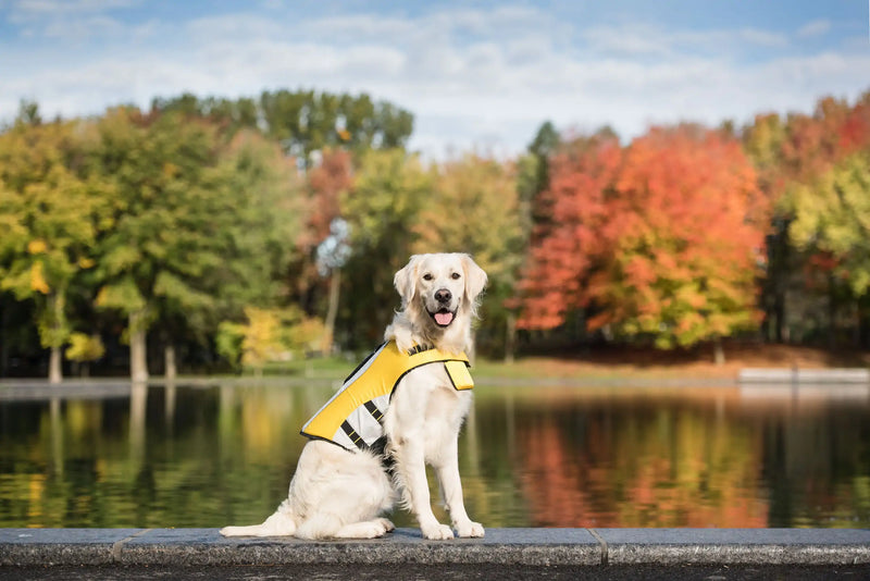 Veste de gilet de sauvetage pour chien