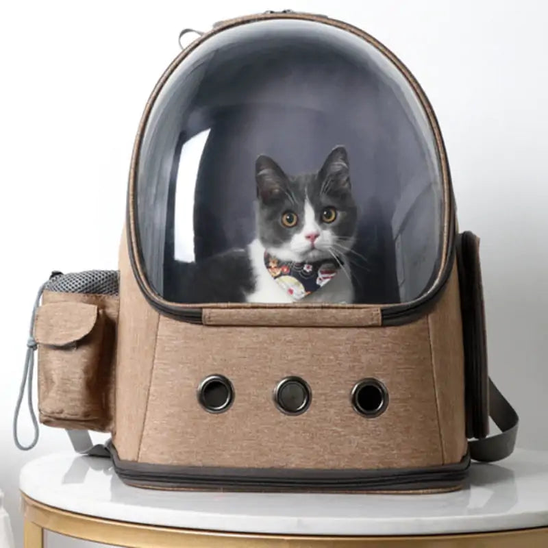 Capsule spatiale pour sac à dos de transport pour animaux de compagnie