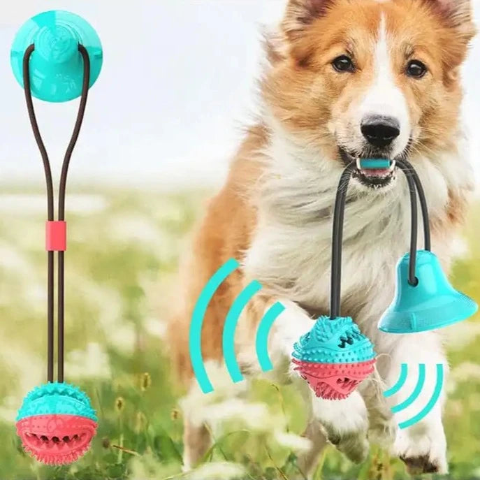 Jouet pour chien à ventouse en silicone