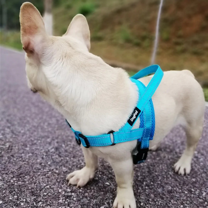 Harnais réglable pour chien