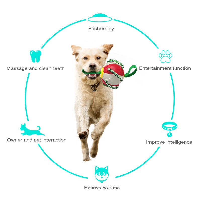 Jouet interactif pour chien