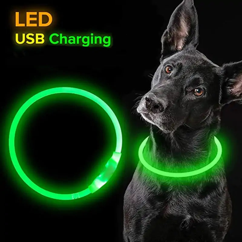 Colliers de chien imperméables à LED