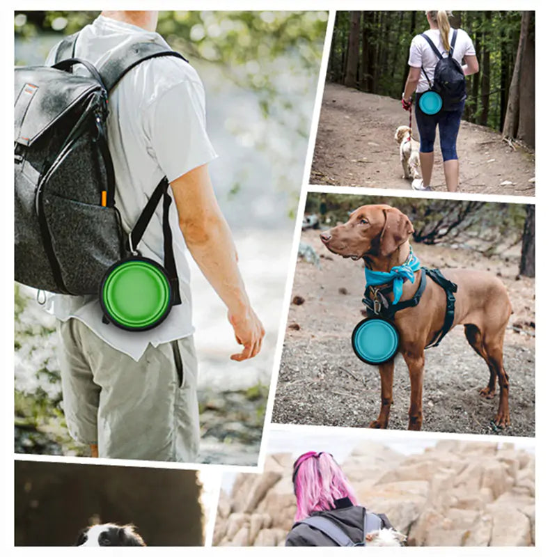 Portable Pet Bowl