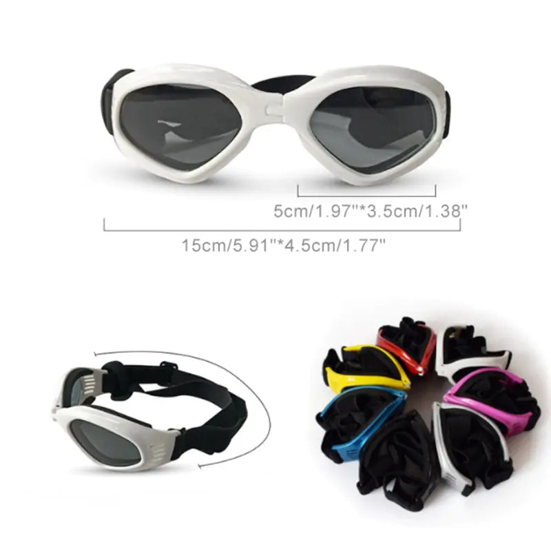 Lunettes de soleil pour chien