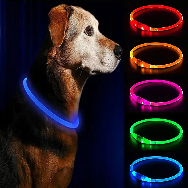 Colliers de chien imperméables à LED