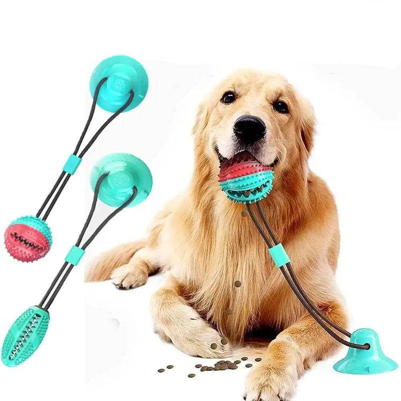 Jouet pour chien à ventouse en silicone